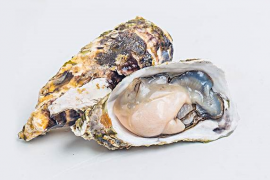 什么是牡蛎,什么是牡蛎肽有什么功能与作用?