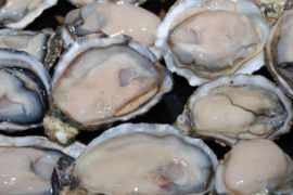 牡蛎肽男人女人都可以吃吗？牡蛎有哪些主要价值功效？