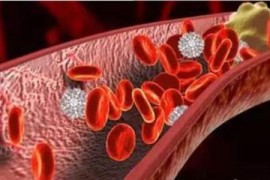 血栓吃什么好得快？地龙蛋白对血管栓塞性疾病的有什么作用？