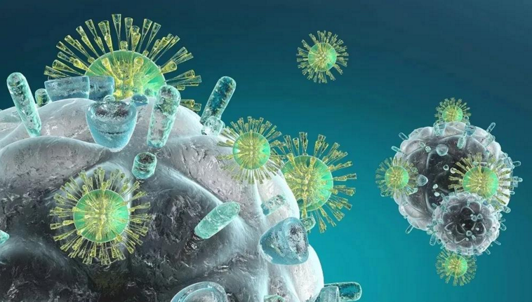 肽对免疫力影响主要表现在什么方面，小分子肽对免疫力的增强作用