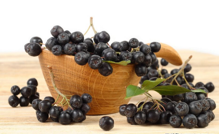 不老莓提取物对降尿酸好吗，不老莓提取物与痛风