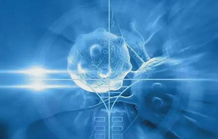 干细胞治疗宫腔黏连临床研究，干细胞的功能与作用