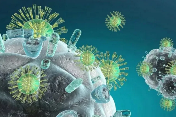 肽缺乏对细胞免疫和体液免疫的影响