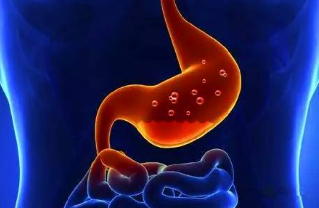 什么复合小分子肽对肠胃好，肽对肠胃的作用