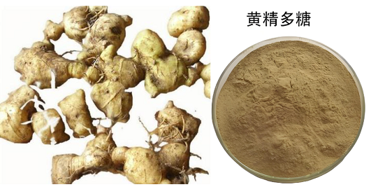 黄精多糖.png