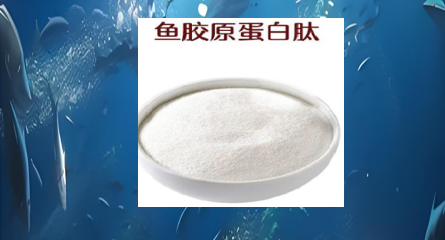 鱼胶原蛋白肽.png