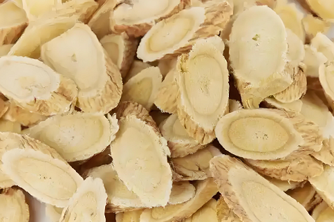 黄芪.png 黄芪.png