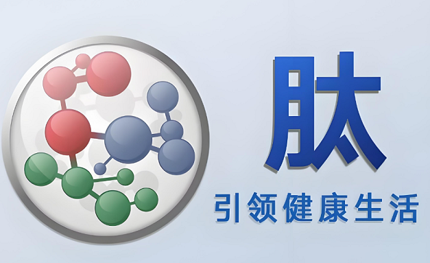 生物活性肽.png 生物活性肽.png