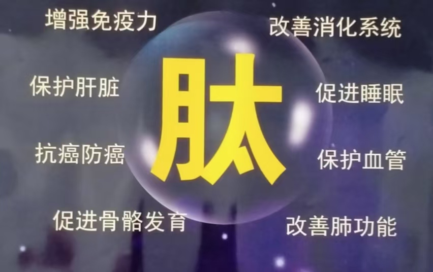肽.jpg